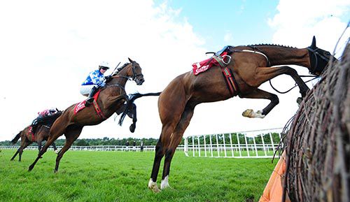 Coolmill (Cian Collins) 'wing' the final flight