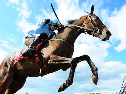 Hard Fought and Ruby Walsh