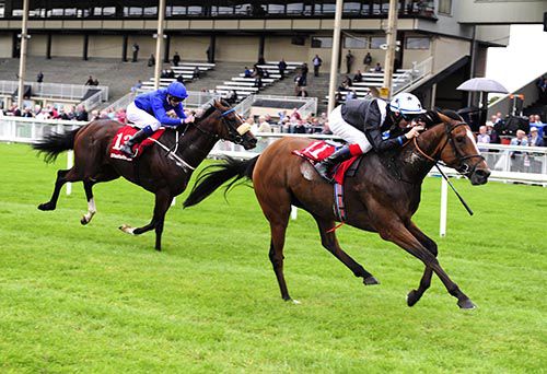 Hint Of A Tint leads home Portage in the Cambridgeshire