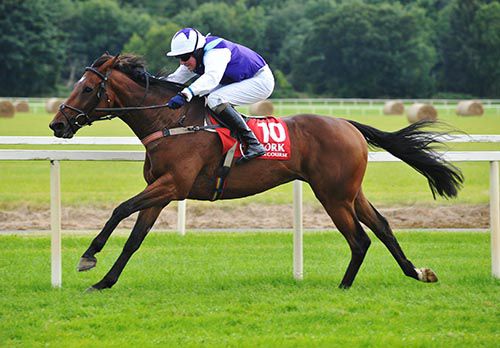 Walkers Point is ridden out by Declan Queally