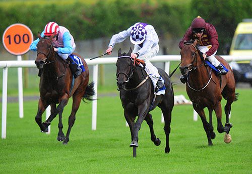 Special Focus and Kevin Manning (white and purple) beats Retinal (left) and Newsman