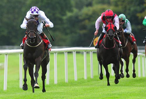 Vitalized and Kevin Manning are clear at Gowran