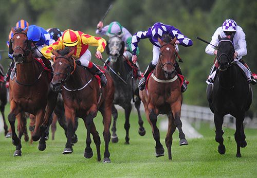 2nd from right Connor King comes through to win on Daliyan