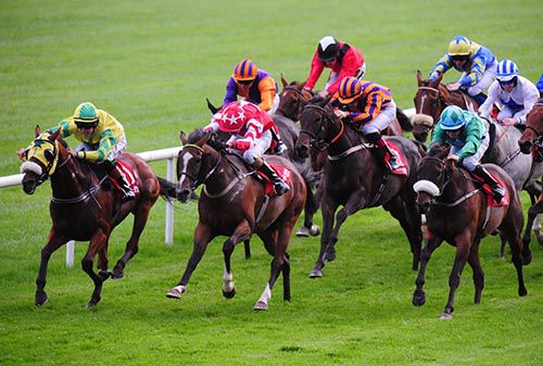 Ross Coakley (yellow and green) gets Rigid Rock home in front