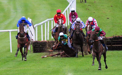 Master Appeal goes clear as Point Of Rescue crashes out at the second last