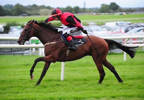 Moylisha Tim and J J Slevin