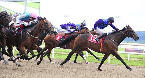 Strait Of Zanzibar (Billy Lee) sees them all off in the fourth at Dundalk