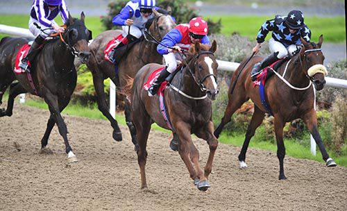 Cape Discovery and Keith Moriarty lead them home