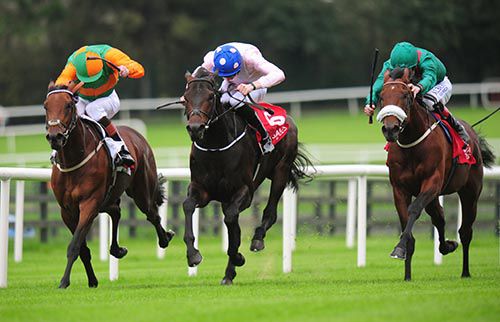 Winner Ebediyin (nearside Pat Smullen) flies home to beat Cole Porter (centre) and Al Mohalhal