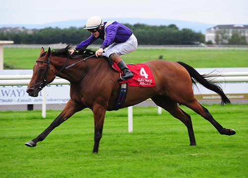 Johann Bach and Gary Halpin