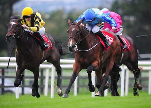 Best Not Argue (Colin Keane, blue) gets the job done at Galway