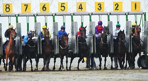 Eventual winner Papabili and Sean Corby emerge from stall 2