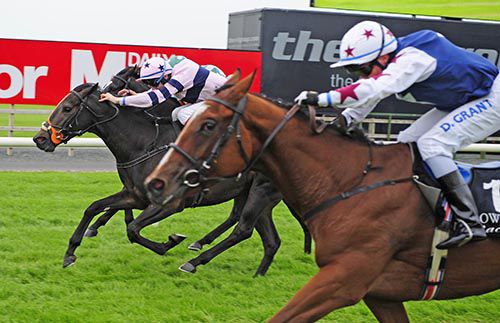 Mrs Brinkleys (centre) just gets up to beat Remarkable Lady (nearest) and Roc Of Gold (partially hidden)
