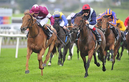 The chestnut Flirt (left) gets the better of Fair Game