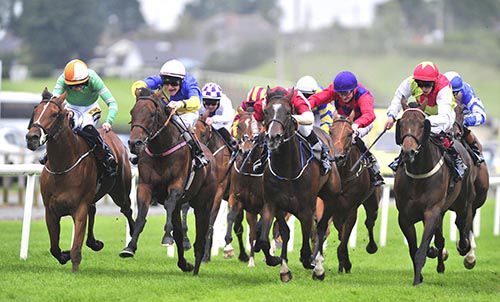 Knights Templar (white cap) comes through to win under Gary Halpin