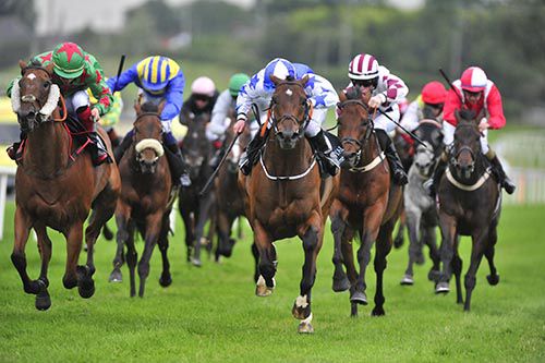 Scenic Star (centre) is driven out by Gary Phillips to beat Ondamoura (cheekpieces)