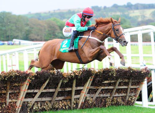 Rashaan jumps the last under Mikey Fogarty