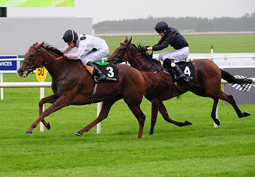 Ribbons and Tom Queally see off the challenge of Tapestry and Joseph O'Brien