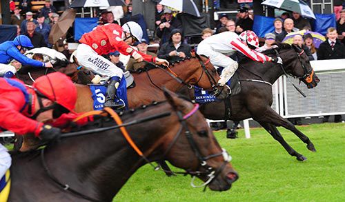 Sole Power leads his rivals home in Flying Five