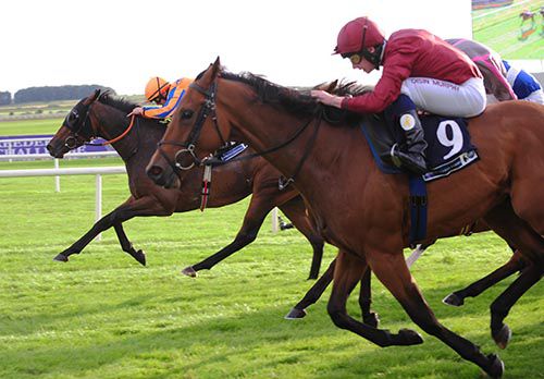 Torcedor and Wayne Lordan (far side) just hold off Fog Of War and Oisin Murphy