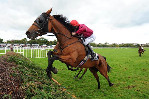 Rogue Angel and Ger Fox