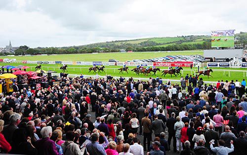 Fact Or Folklore leads them home in Guinness Handicap 