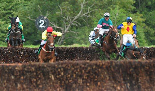 Sizing Codelco races on as Mr Picotee and Gambling Girl crash out