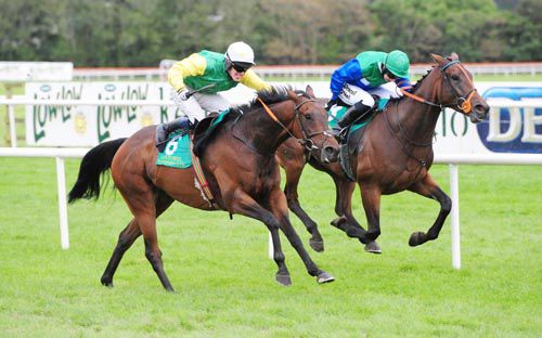Kieran Quigley (white cap) gets Ted Veale home from Sea Pride