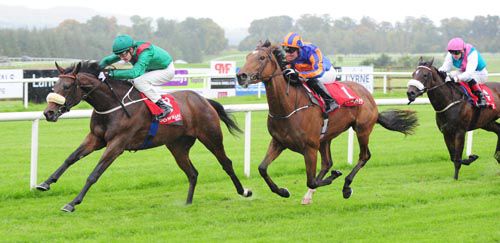 Rayisa is ridden out by Shane Foley to beat Best In The World