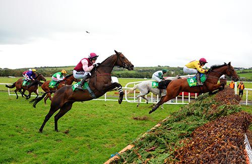 Kalico Kalista (nearest) in full flow under Danny Mulins