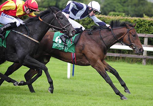 Know holds off Somebodytoldme