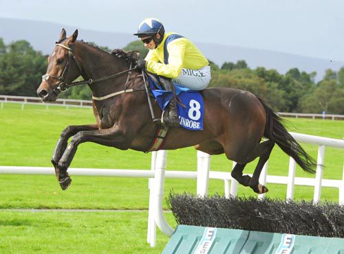 Tiliver clears the last under Adrian Heskin