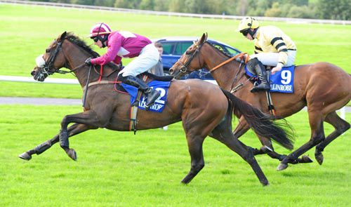 Balofilo and John Fitzpatrick begin to assert from Shek O Lad and Ben Dalton