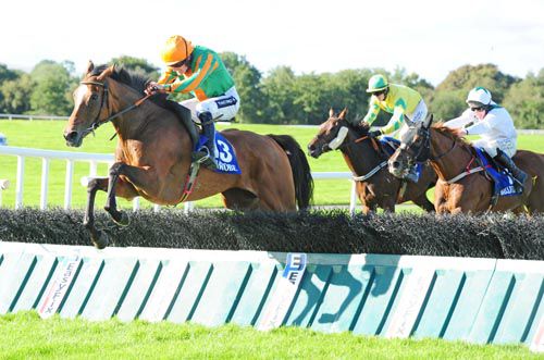 The Fitz Lady jumps the last ahead of Mossy Island and Sounds Of Thunder (cheekpieces) 