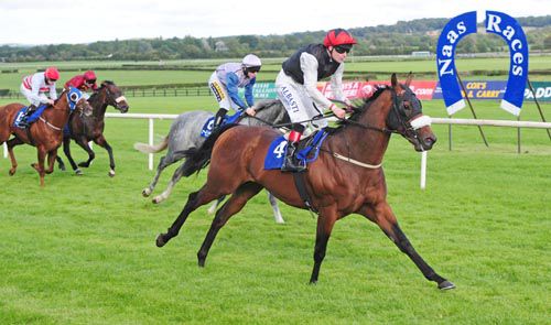 Katimavik leads them home under Pat Smullen
