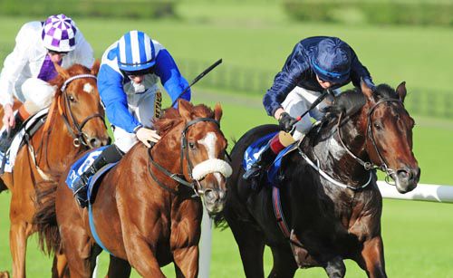Mint Chai (noseband) and Landofhopeandglory battle out the finish