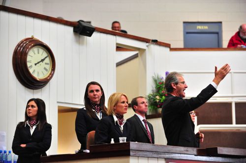 Action in the Tattersalls sales ring