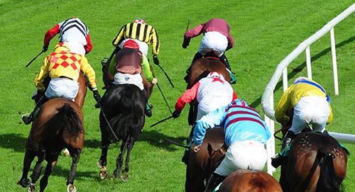 Urban Dusk, red sleeves on outer, comes to challenge in Downpatrick