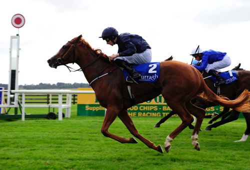 Coolmore