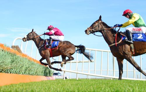 The Game Changer gets in tight to the last but he flicked over well to beat Sizing Platinum