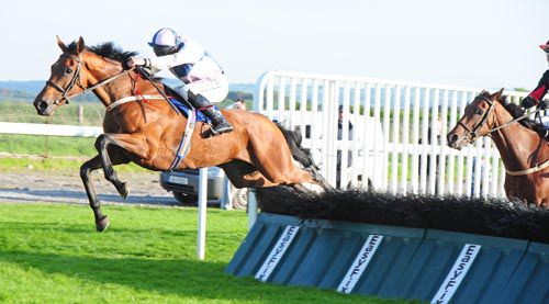 Edith Somerville and Andrew Lynch