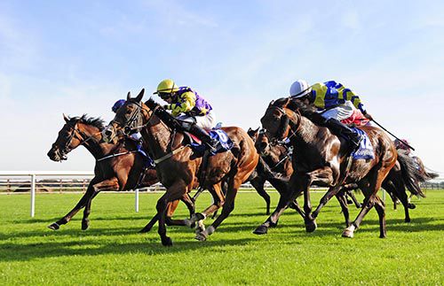 Lily's Prince, yellow cap, takes the honours again in Fairyhouse