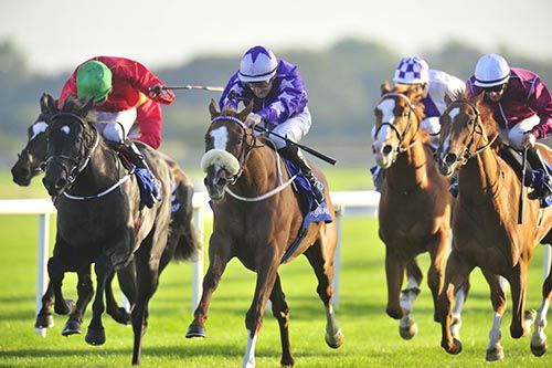 Chestnut Fire, noseband, hits the front in Fairyhouse