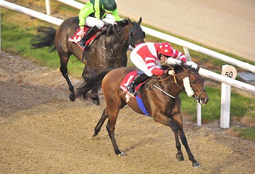 Political Policy and Sean Corby account for Kodiac's Back and Connor King