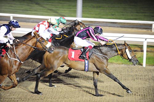 Mountmills is driven out by Joseph O'Brien