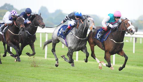 Tested (right) and Sovereign Debt come close