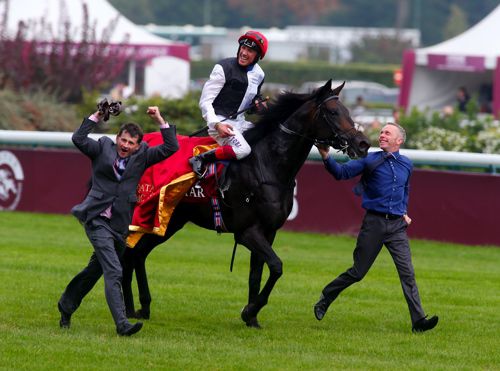 Golden Horn after winning the Arc