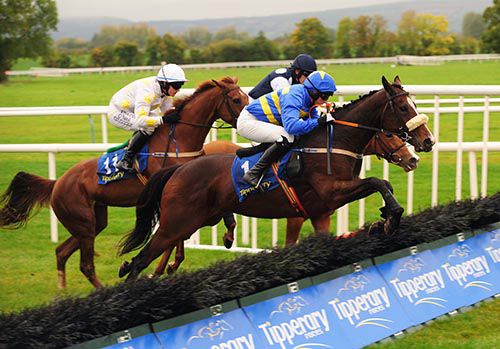 Dragon Fei and Conor Maxwell