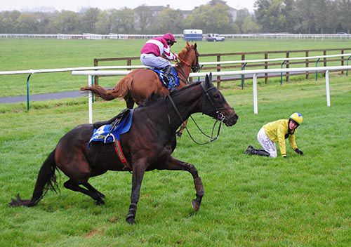 Venture Lazarus goes on to win under Andrew Lynch after Lilly The Lioness and Paul Townend exit
