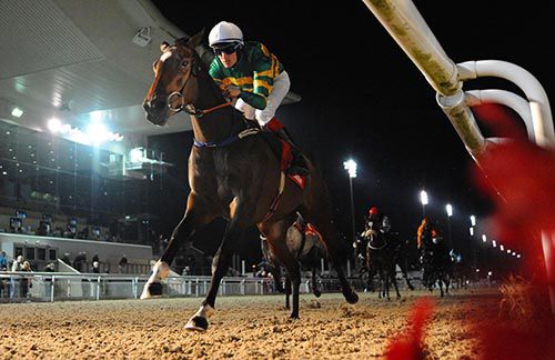 Back On Top approaches the line in Dundalk